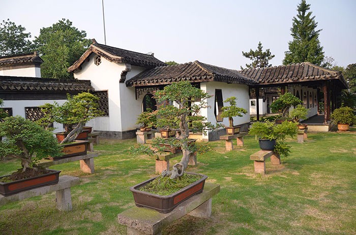中式庭院设计与施工