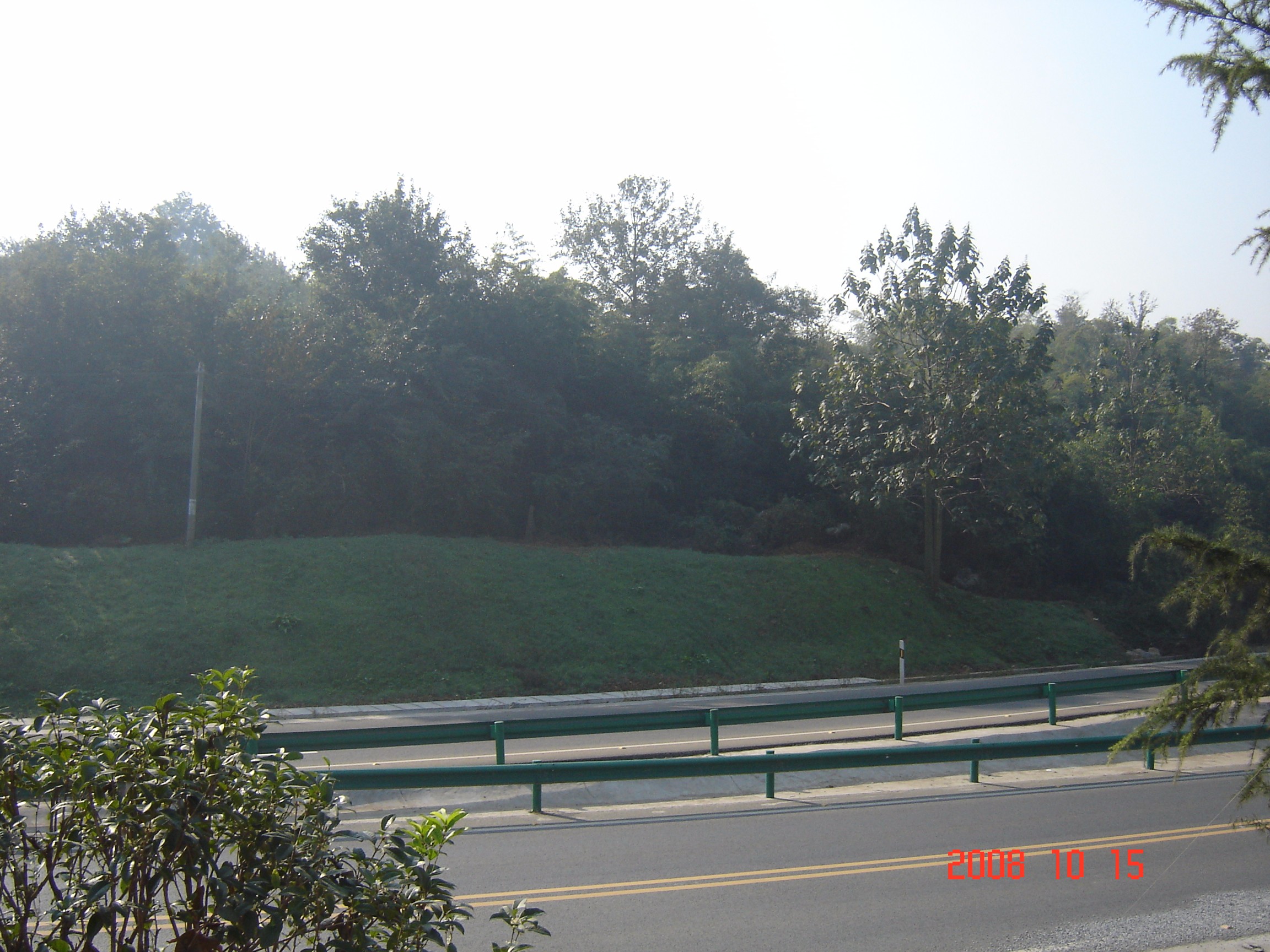 铜陵长江大桥两侧边坡绿化